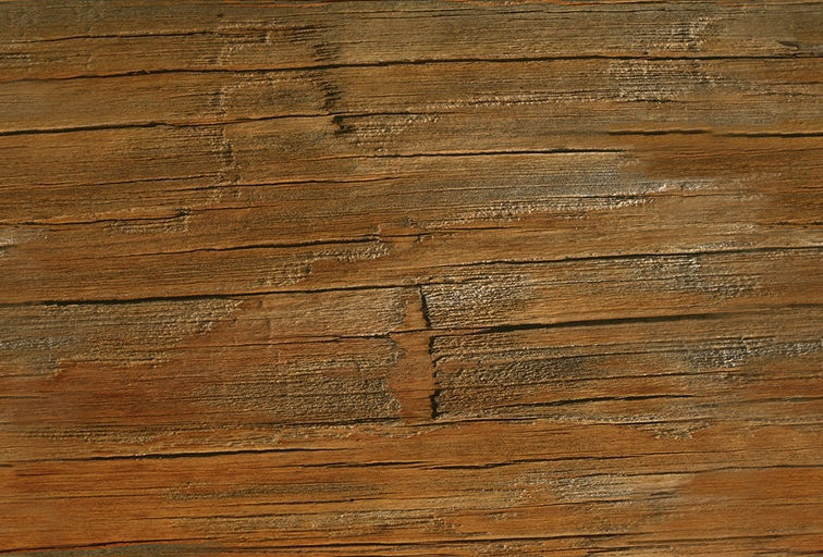 Matrix Dojo 3D model_18