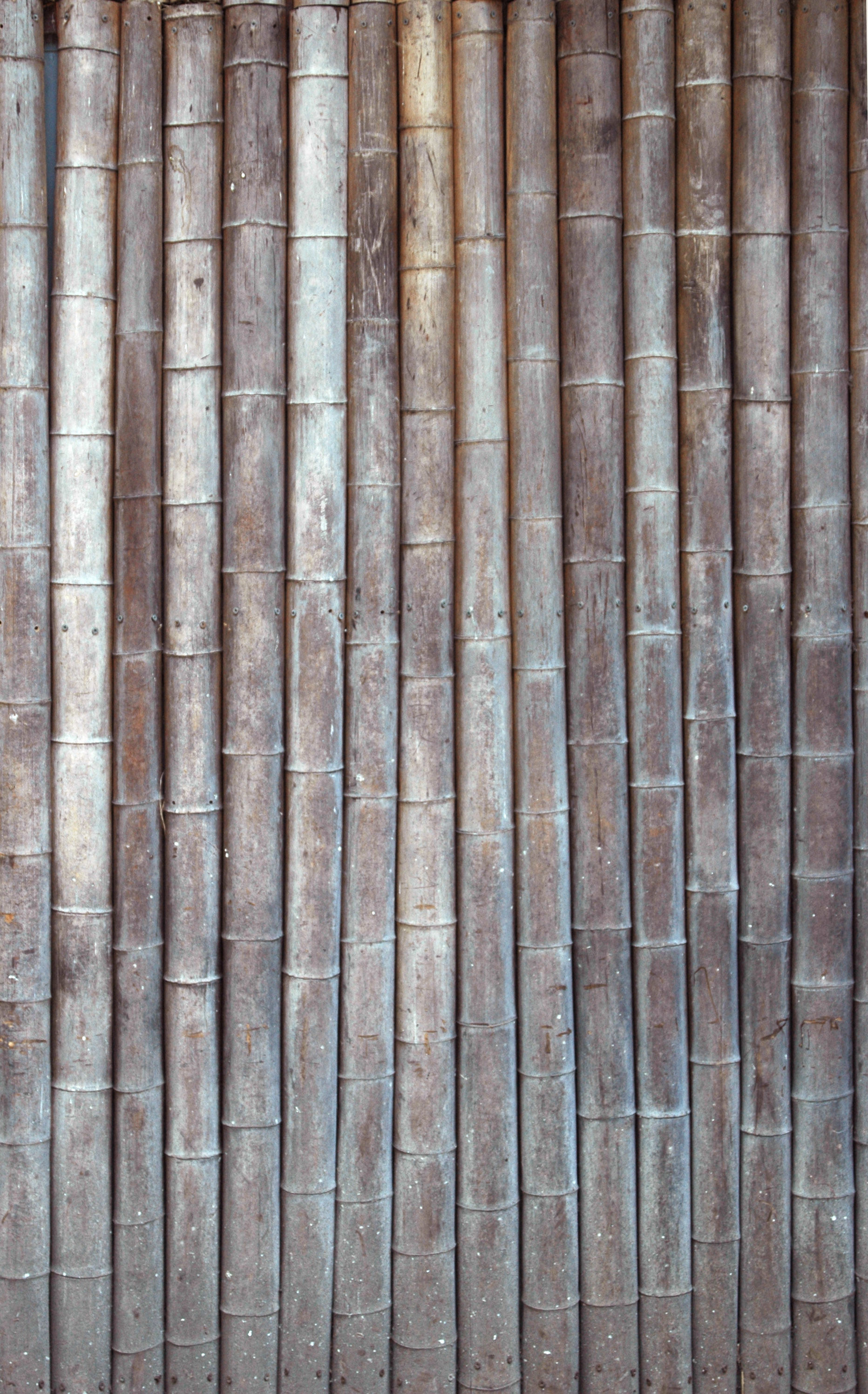 Matrix Dojo 3D model_14