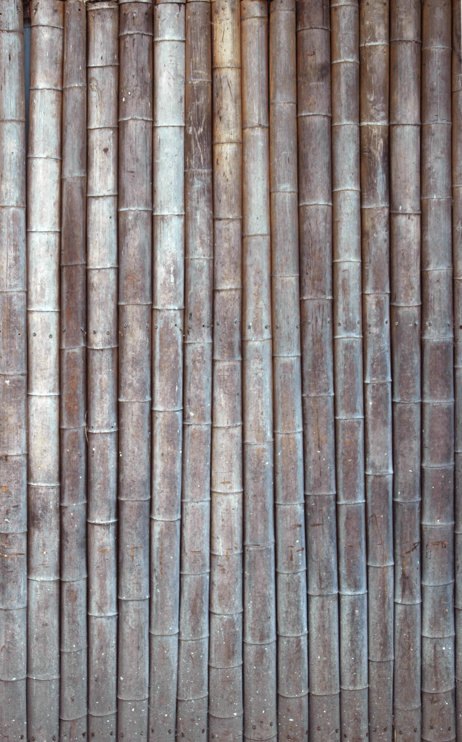 Matrix Dojo 3D model_5