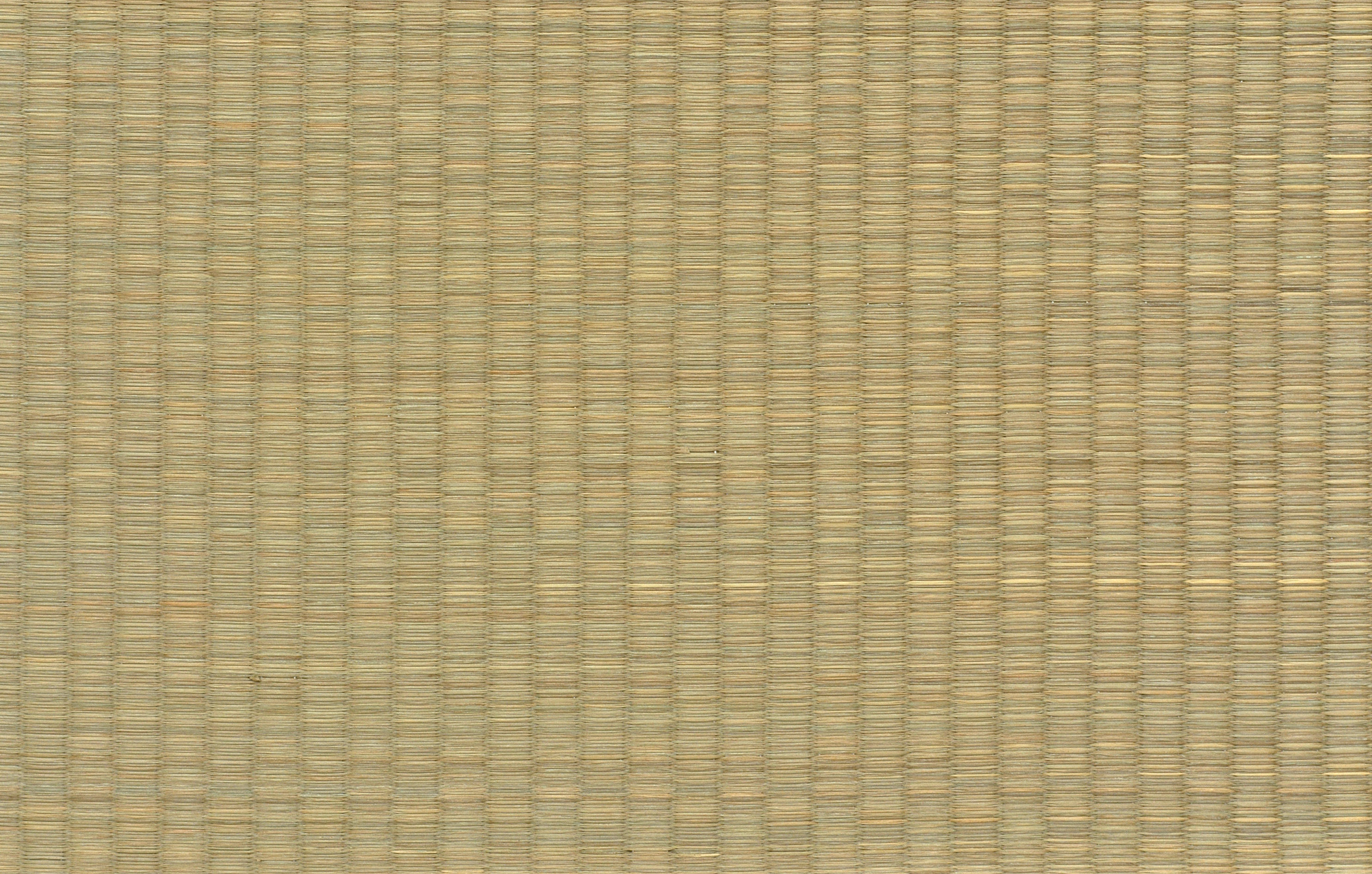 Matrix Dojo 3D model_19