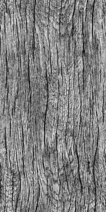 Matrix Dojo 3D model_22