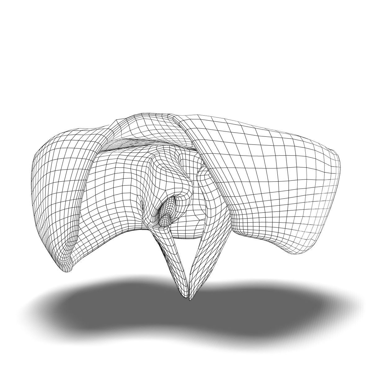 Human Diaphragm Anatomy 3D model_4