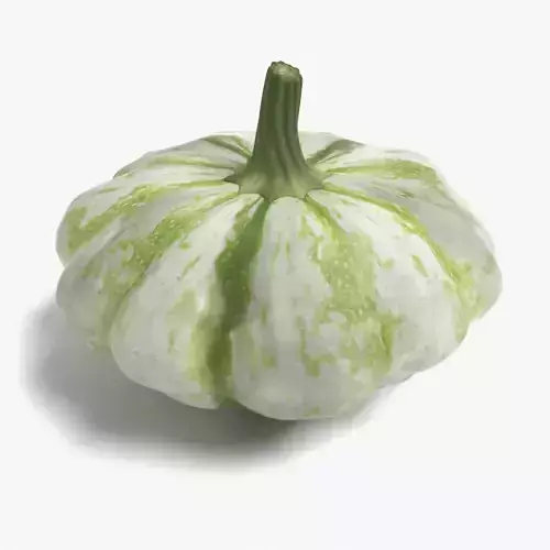 Squash pumpkin