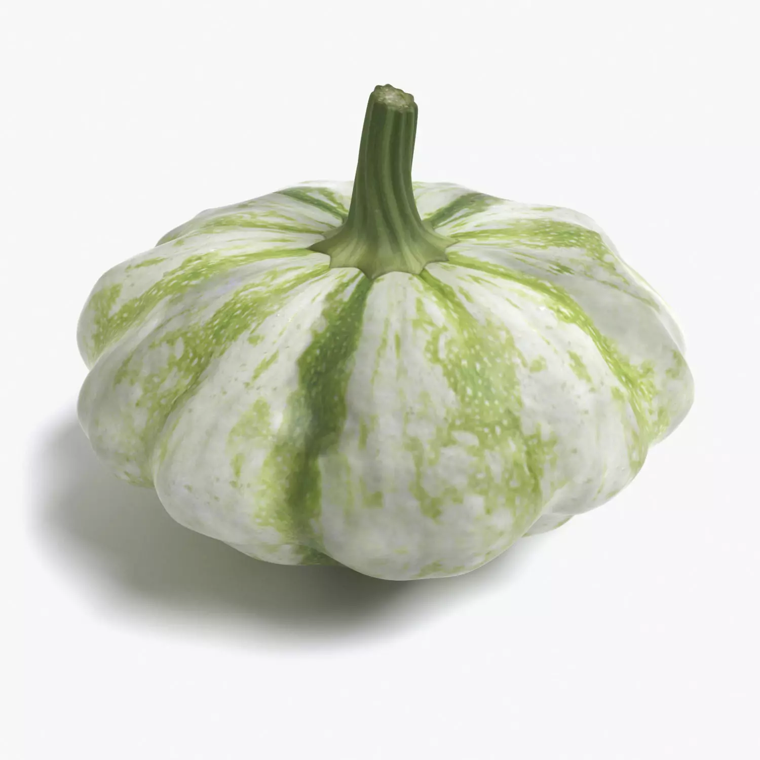 Squash pumpkin 3D model_0