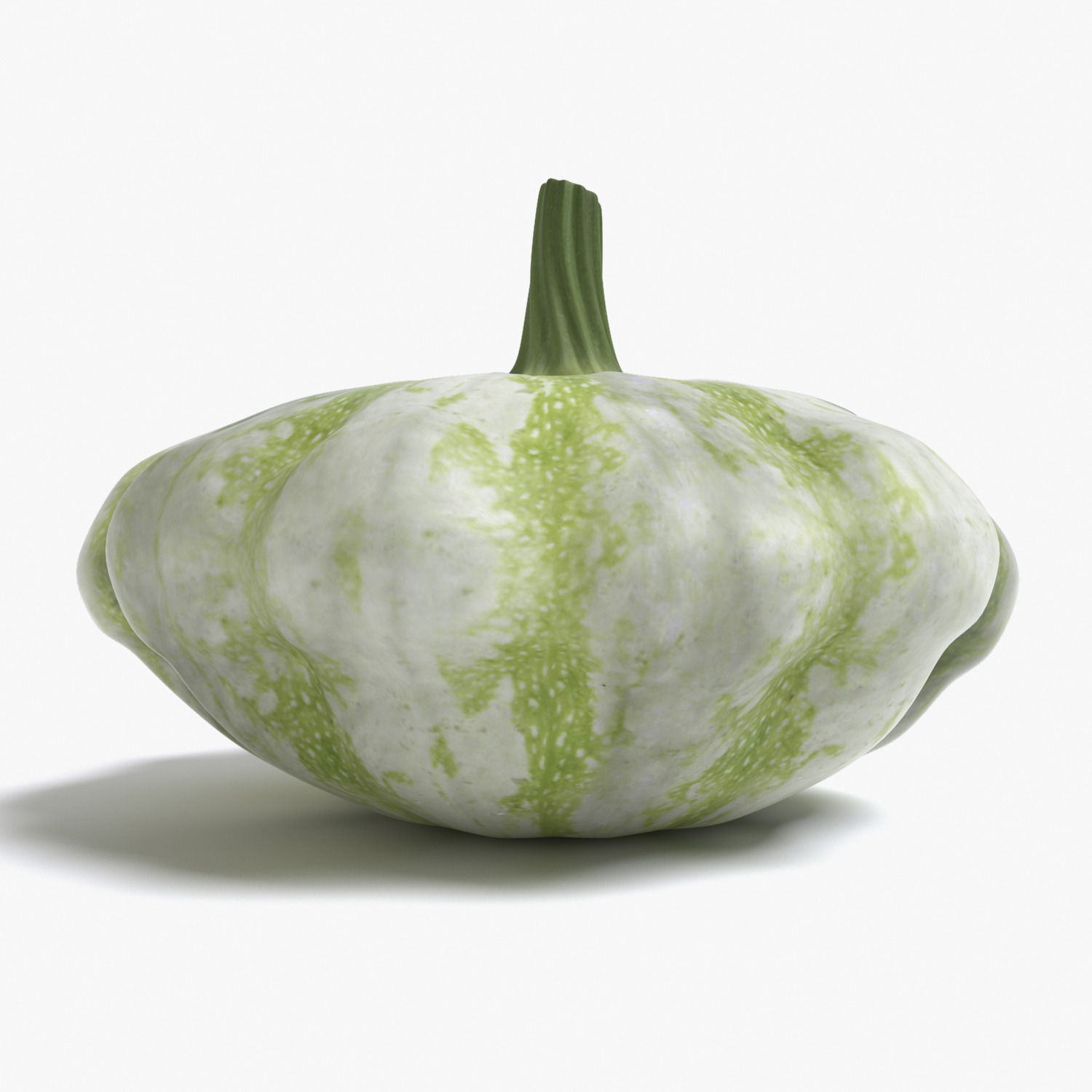 Squash pumpkin 3D model_1