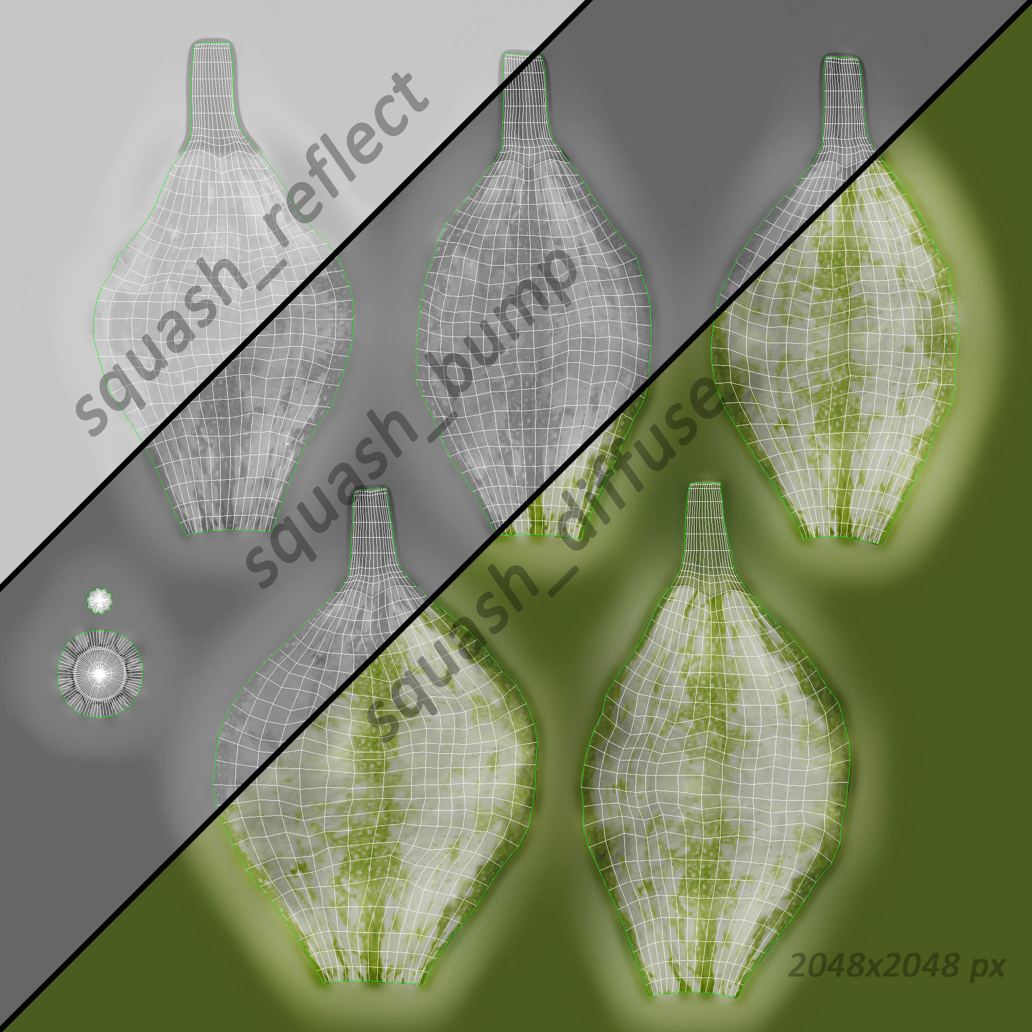 Squash pumpkin 3D model_7