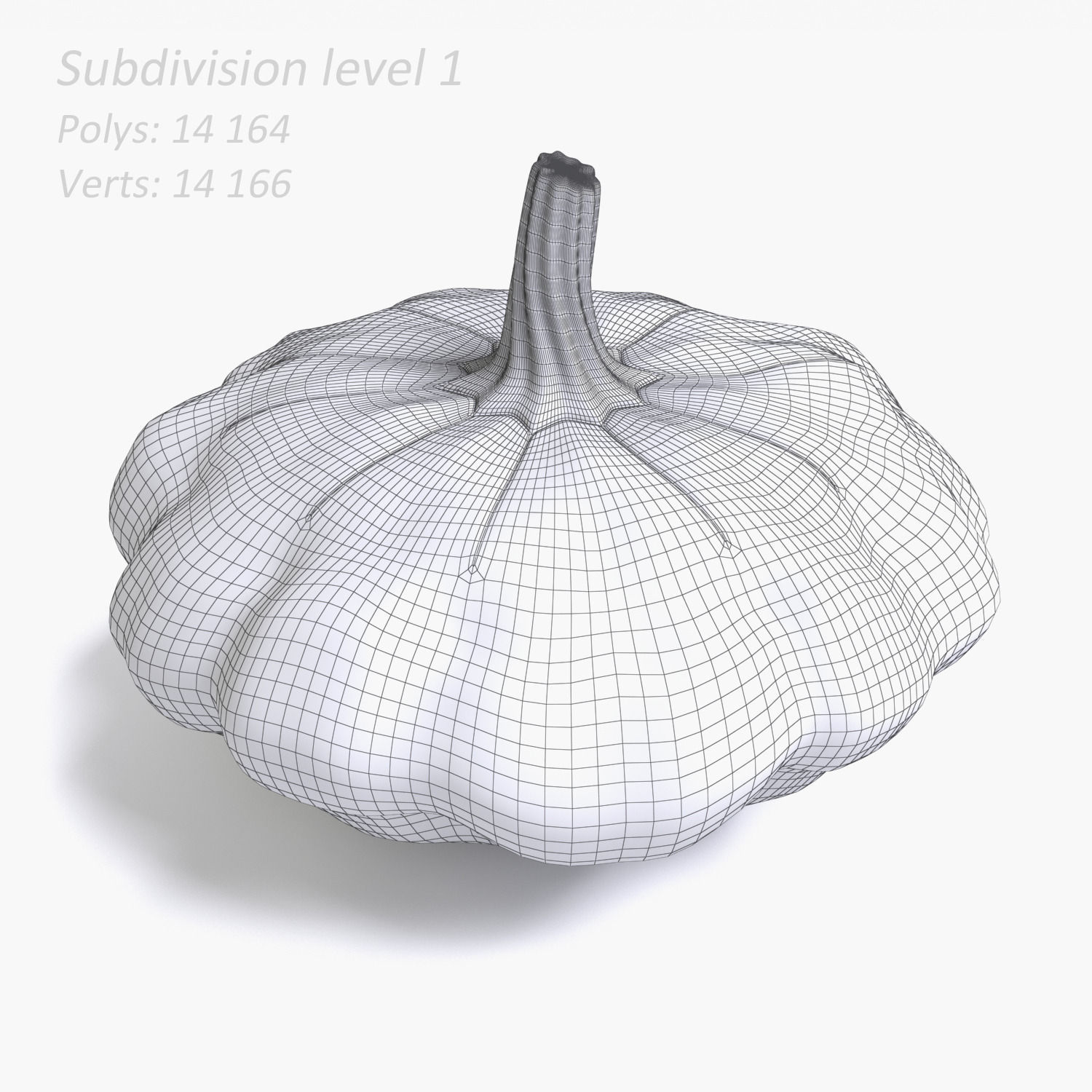 Squash pumpkin 3D model_5