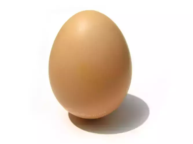 3D egg