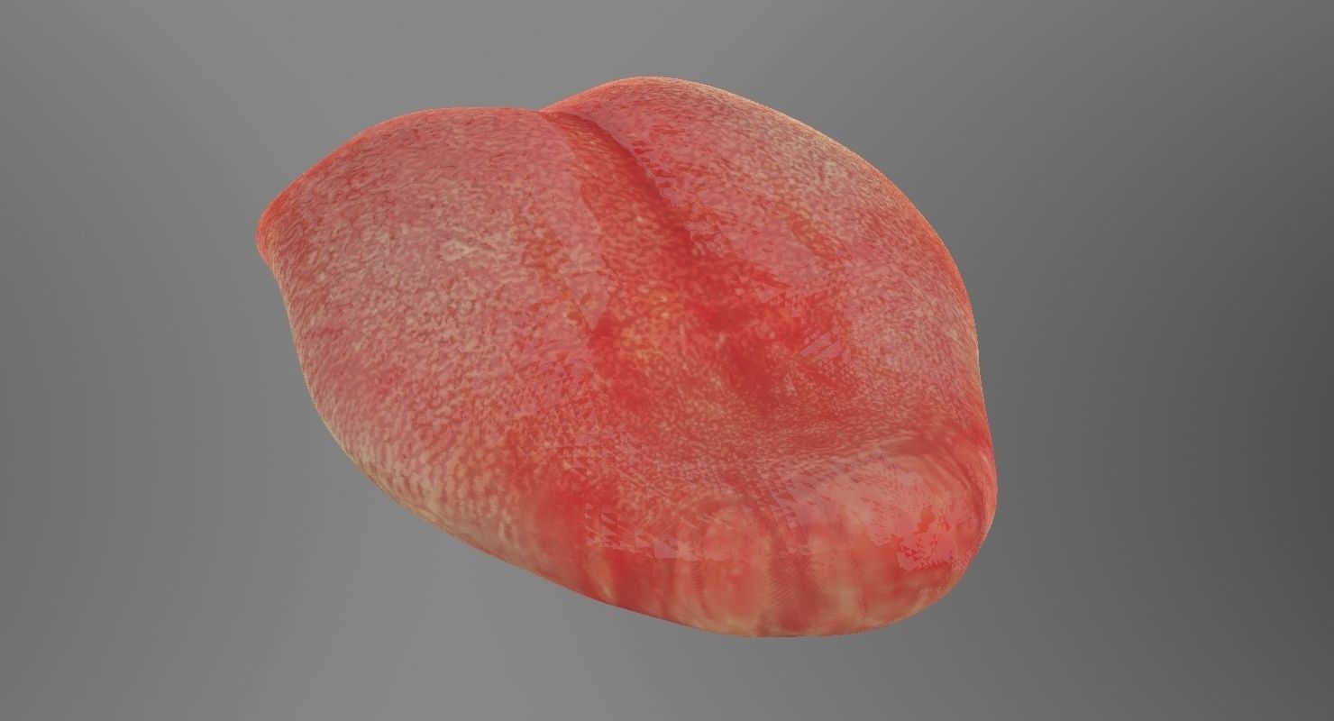 Teeth mouth with 3D model_14