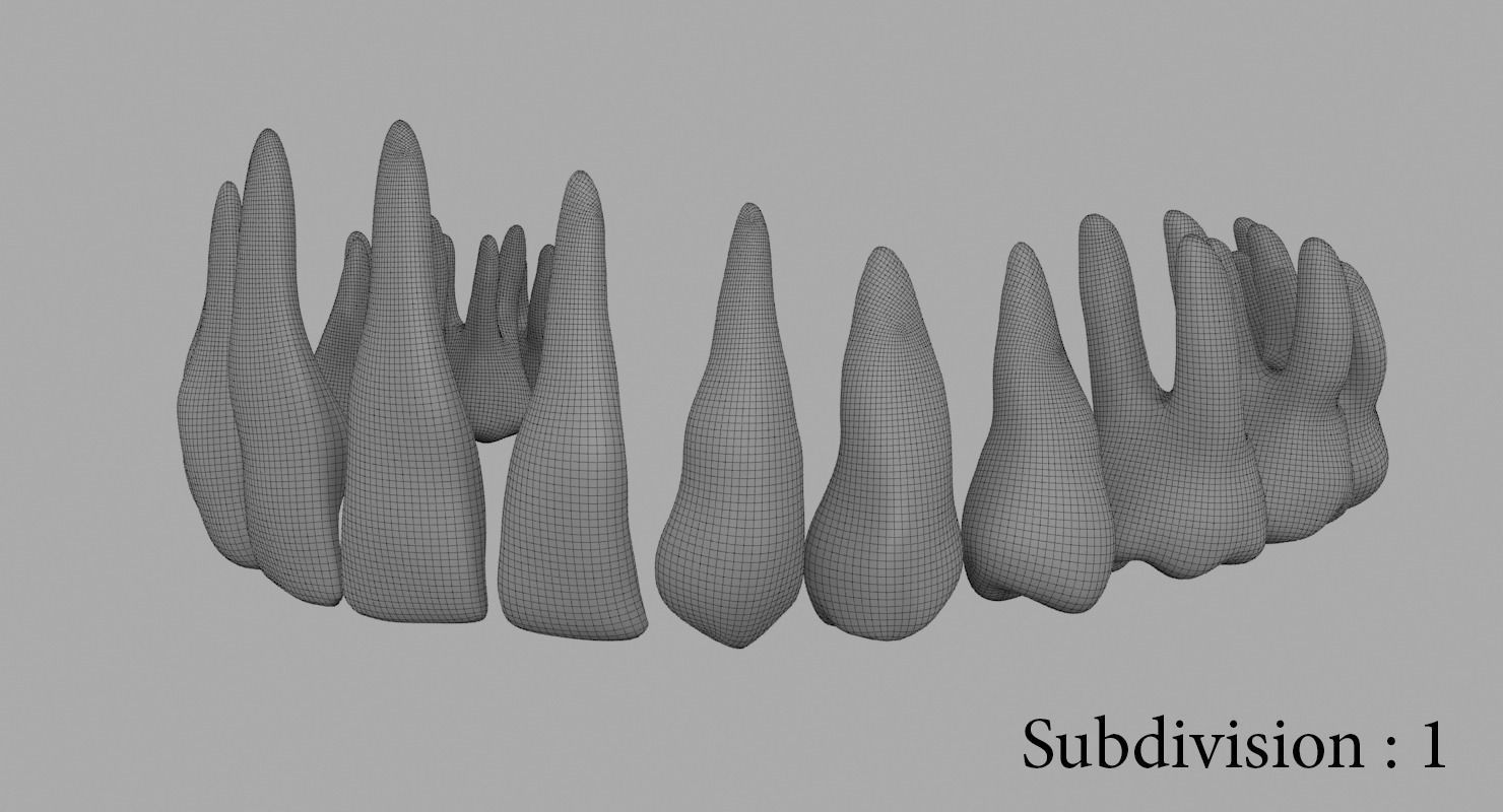 Teeth mouth with 3D model_21