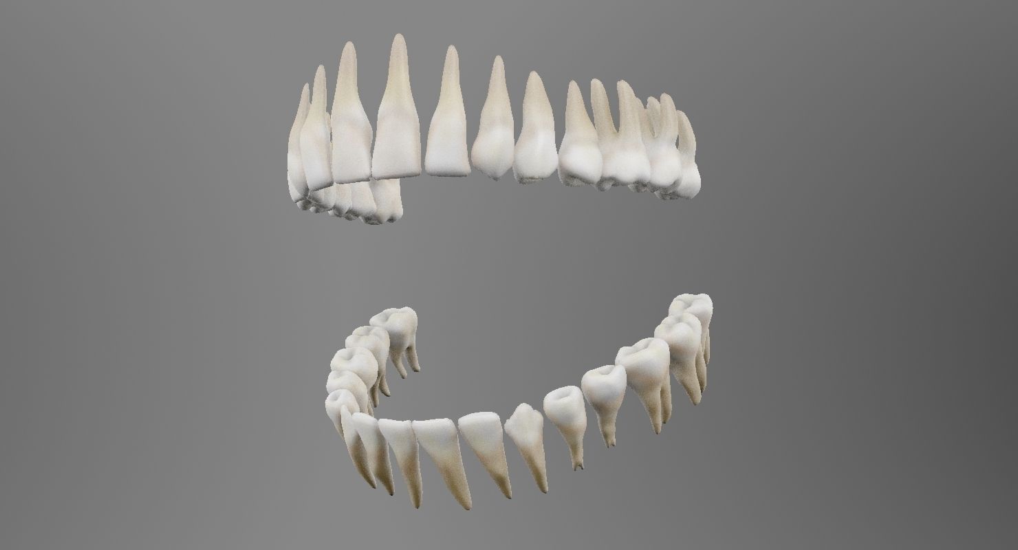 Teeth mouth with 3D model_9
