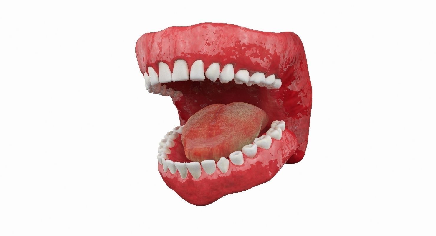 Teeth mouth with 3D model_11