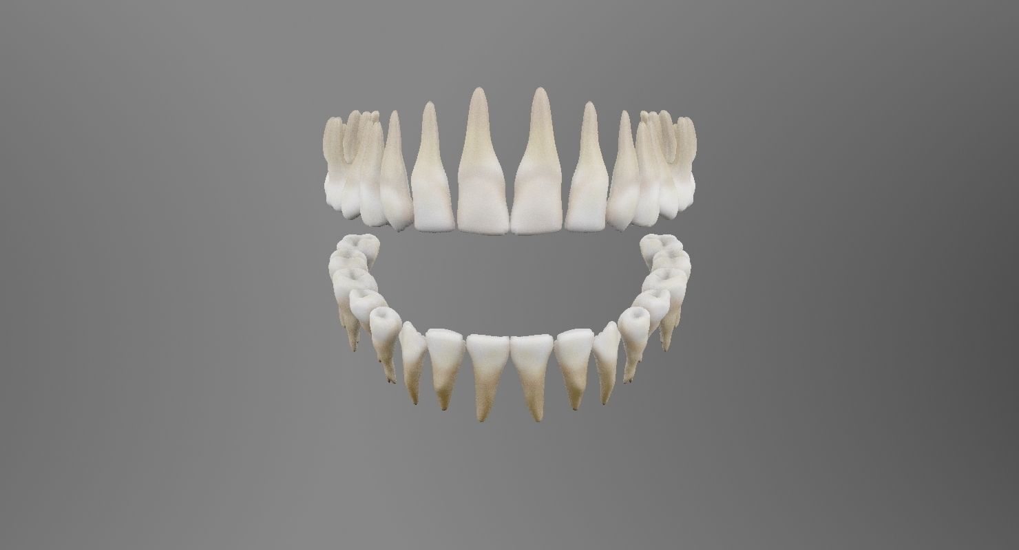 Teeth mouth with 3D model_5