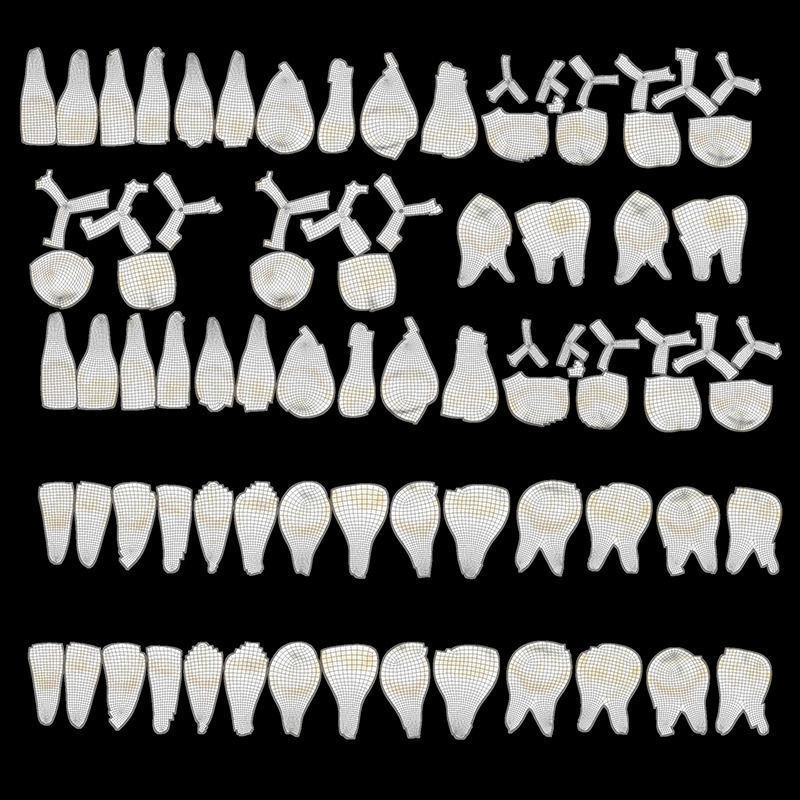 Teeth mouth with 3D model_33