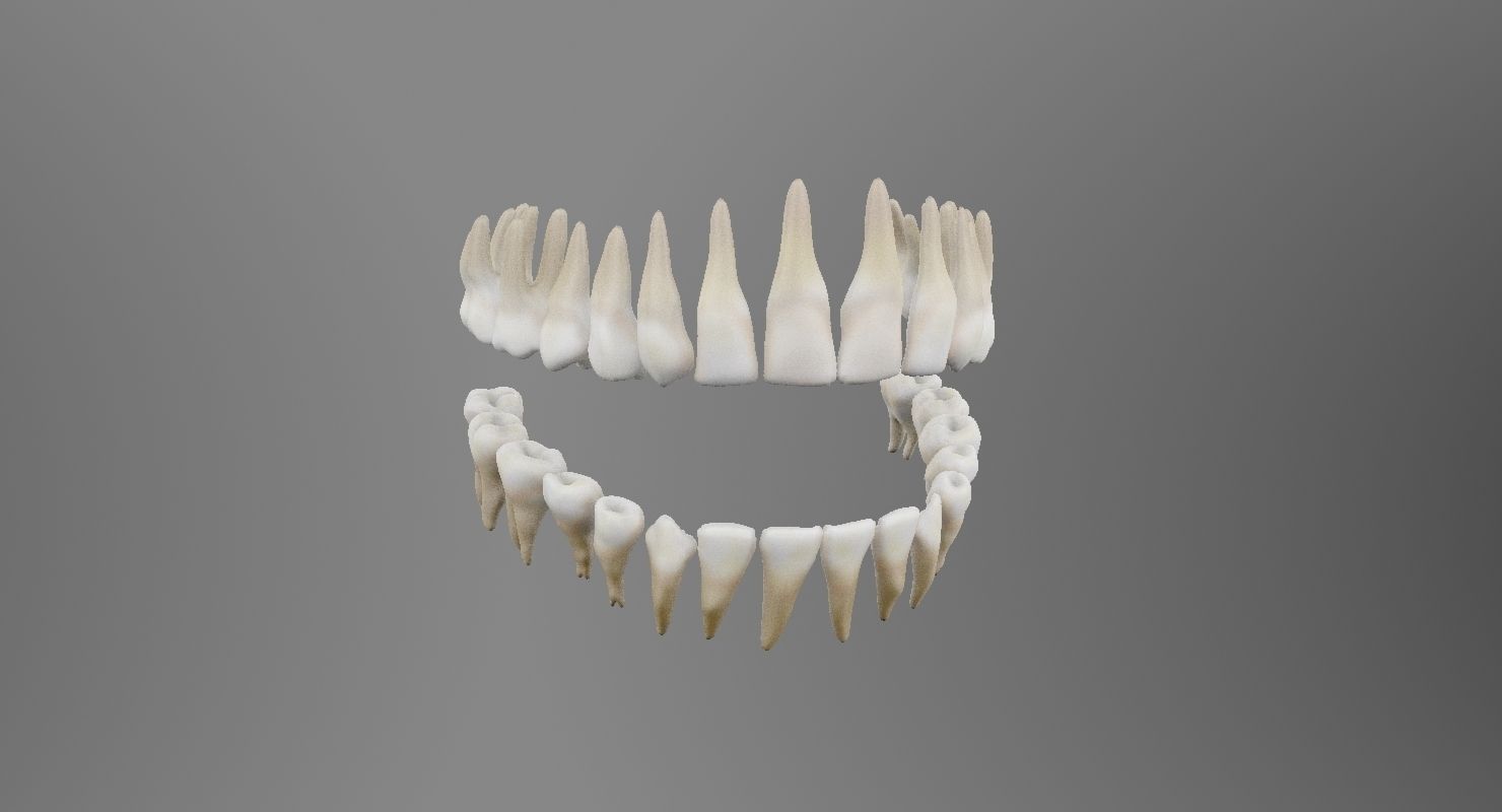 Teeth mouth with 3D model_7