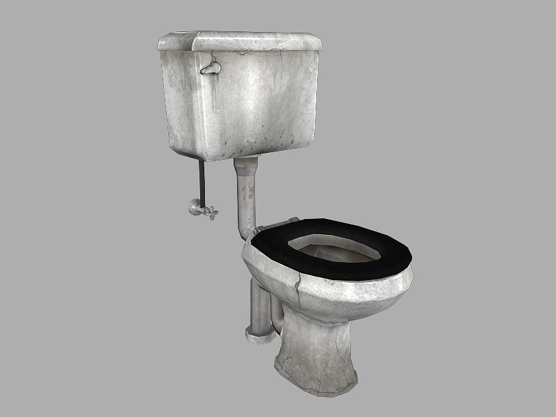 Grimy Toilet Low-poly 3D model_0