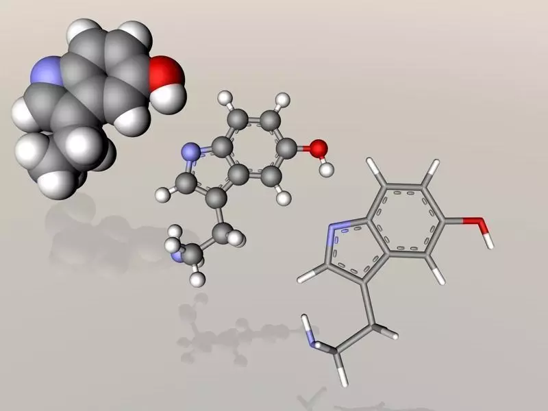 Serotonin molecule 3D model