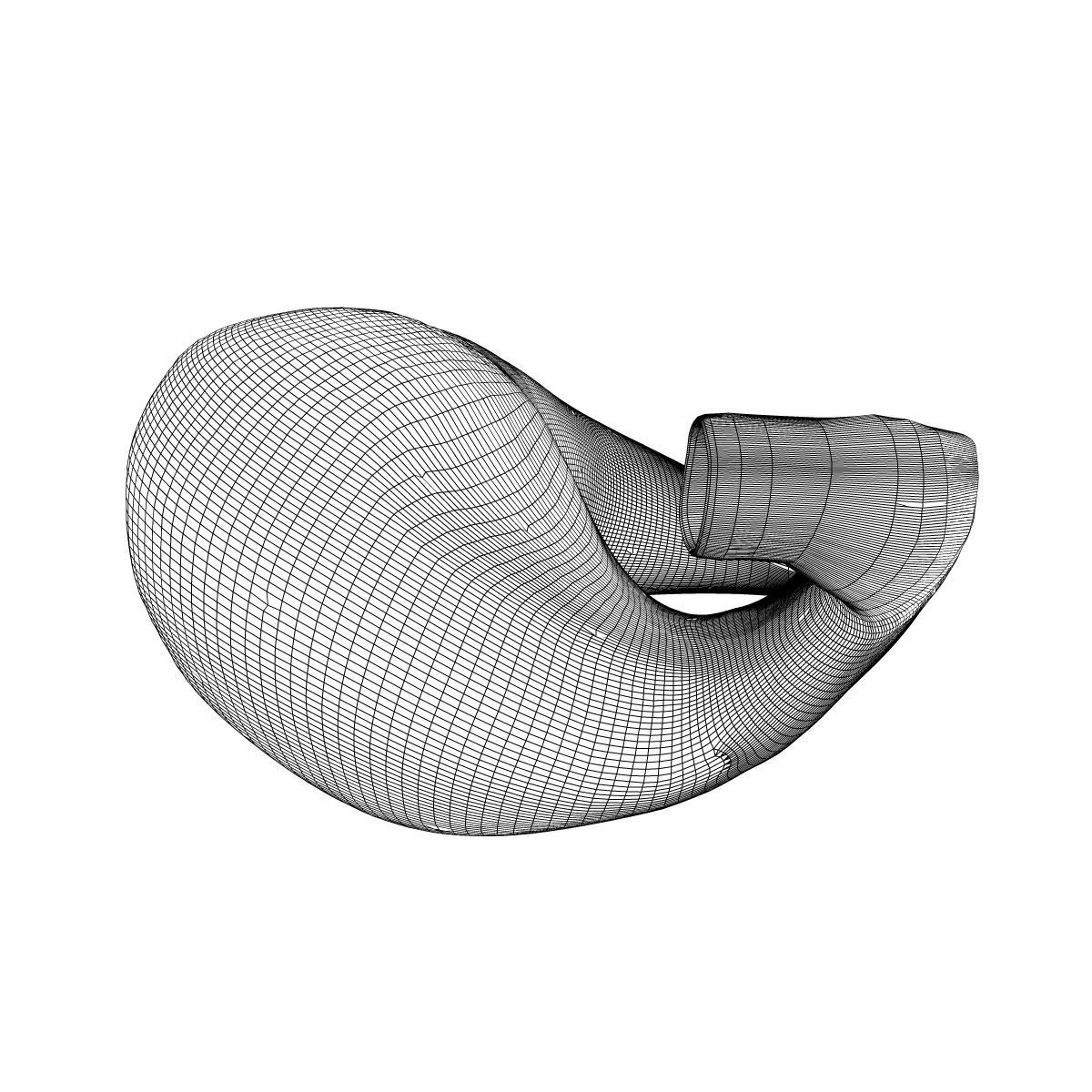 Human Stomach Anatomy 3D model_5