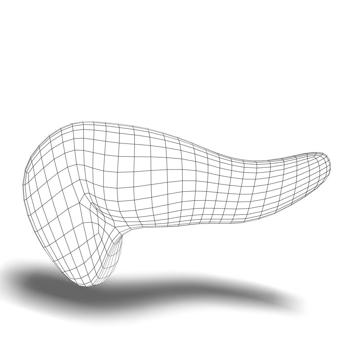 Human Pancreas Anatomy 3D model_6