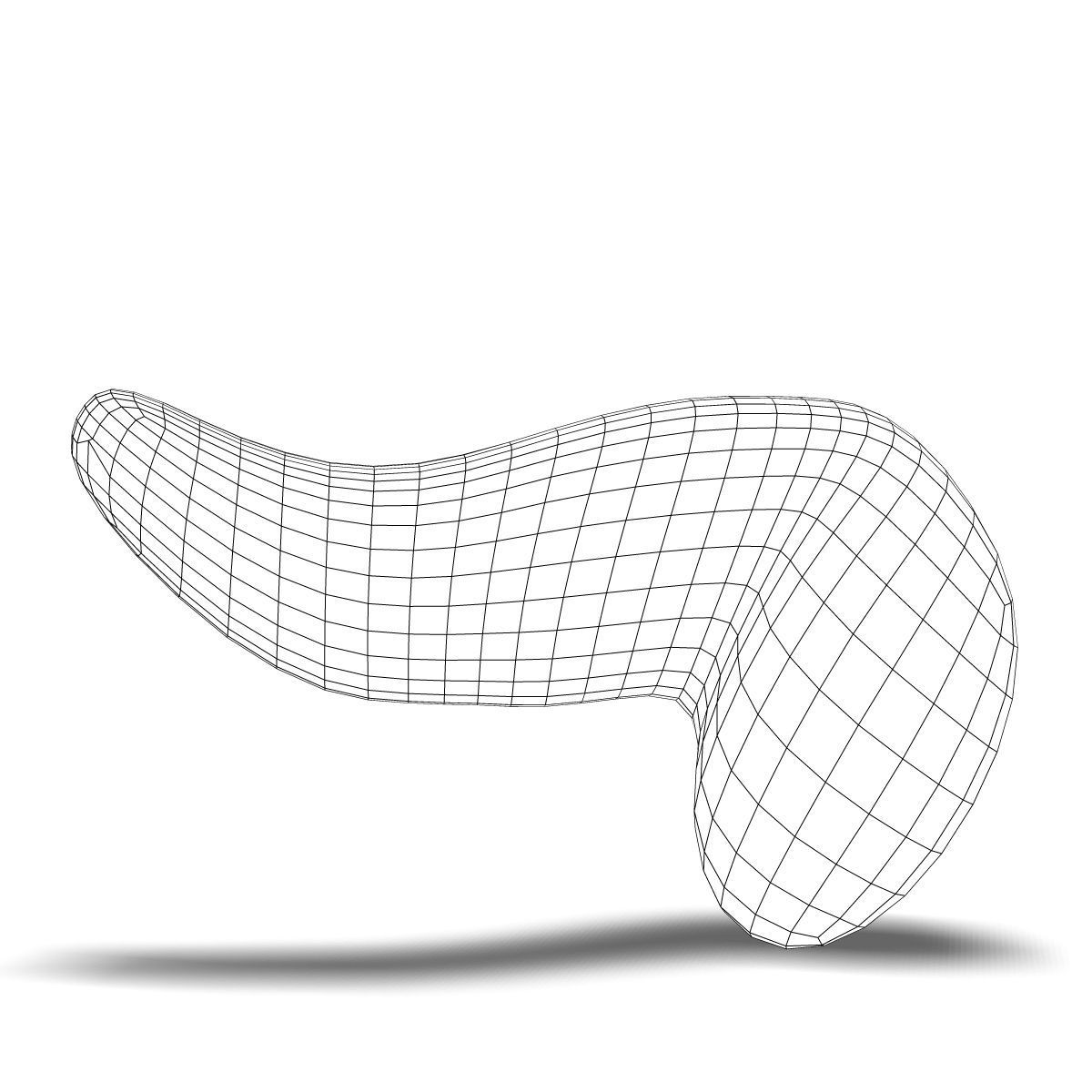 Human Pancreas Anatomy 3D model_4