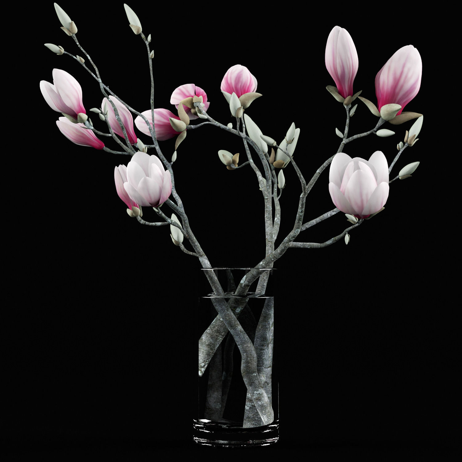 Magnolia flowers in vase 3D model_5