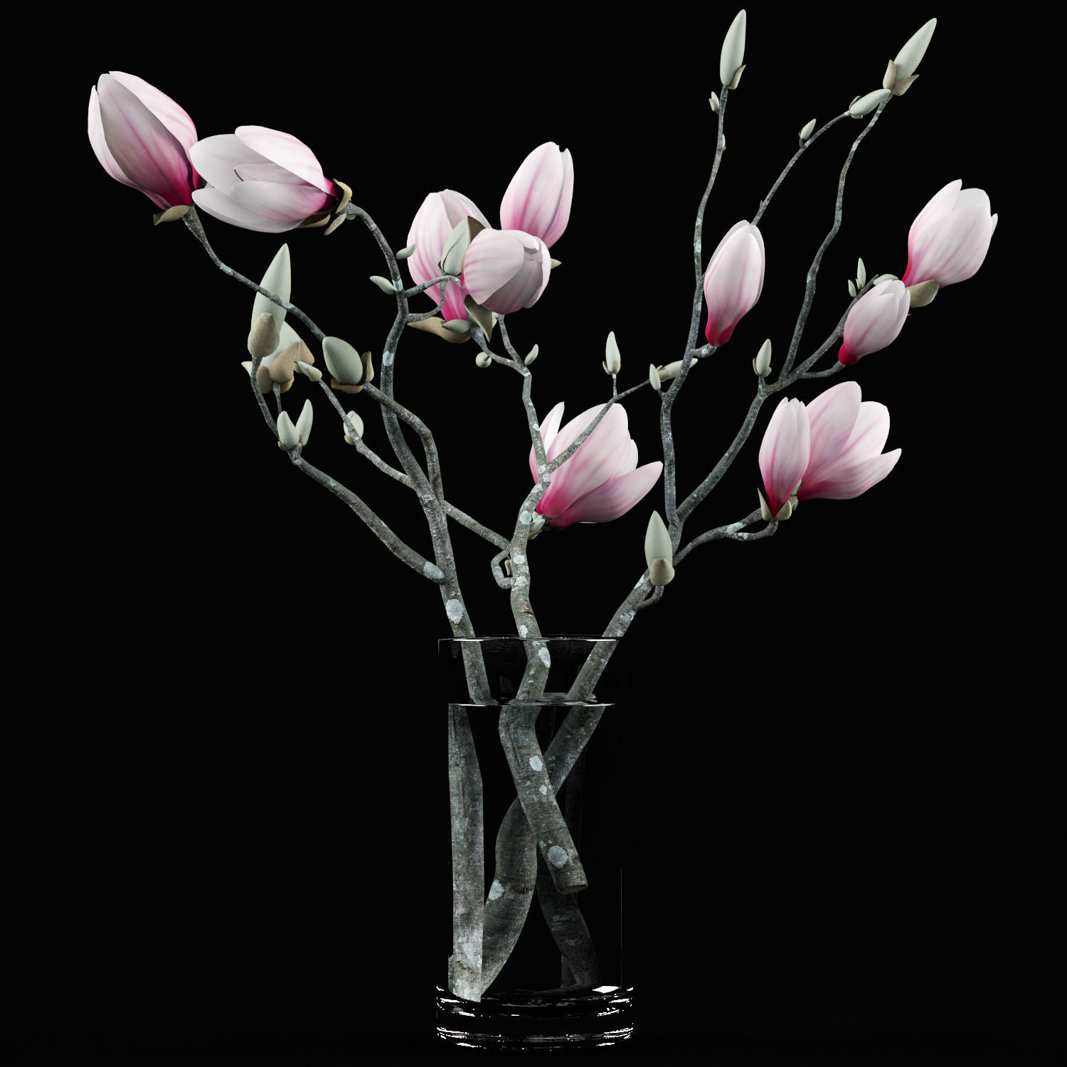 Magnolia flowers in vase 3D model_4