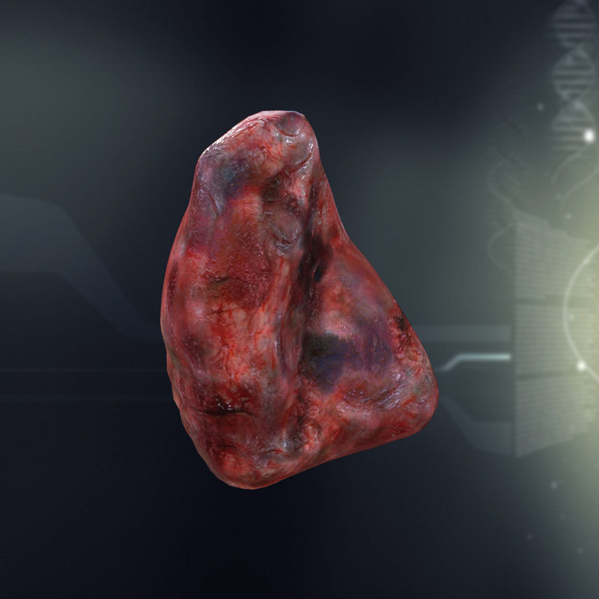 Human Spleen Anatomy Low-poly 3D model_2