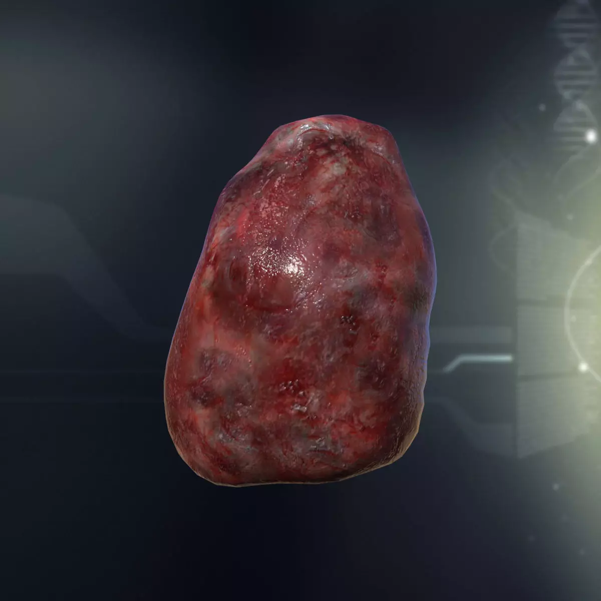 Human Spleen Anatomy Low-poly 3D model_0