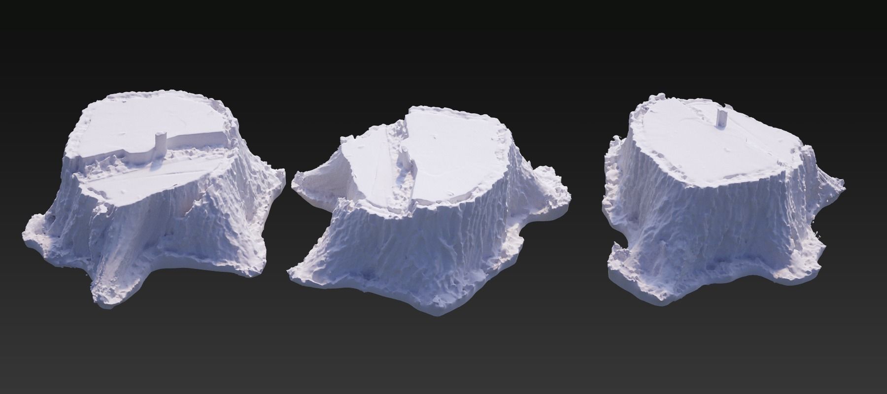 Five scanned old tree stump 3D models - Collection for CG  3D model_1