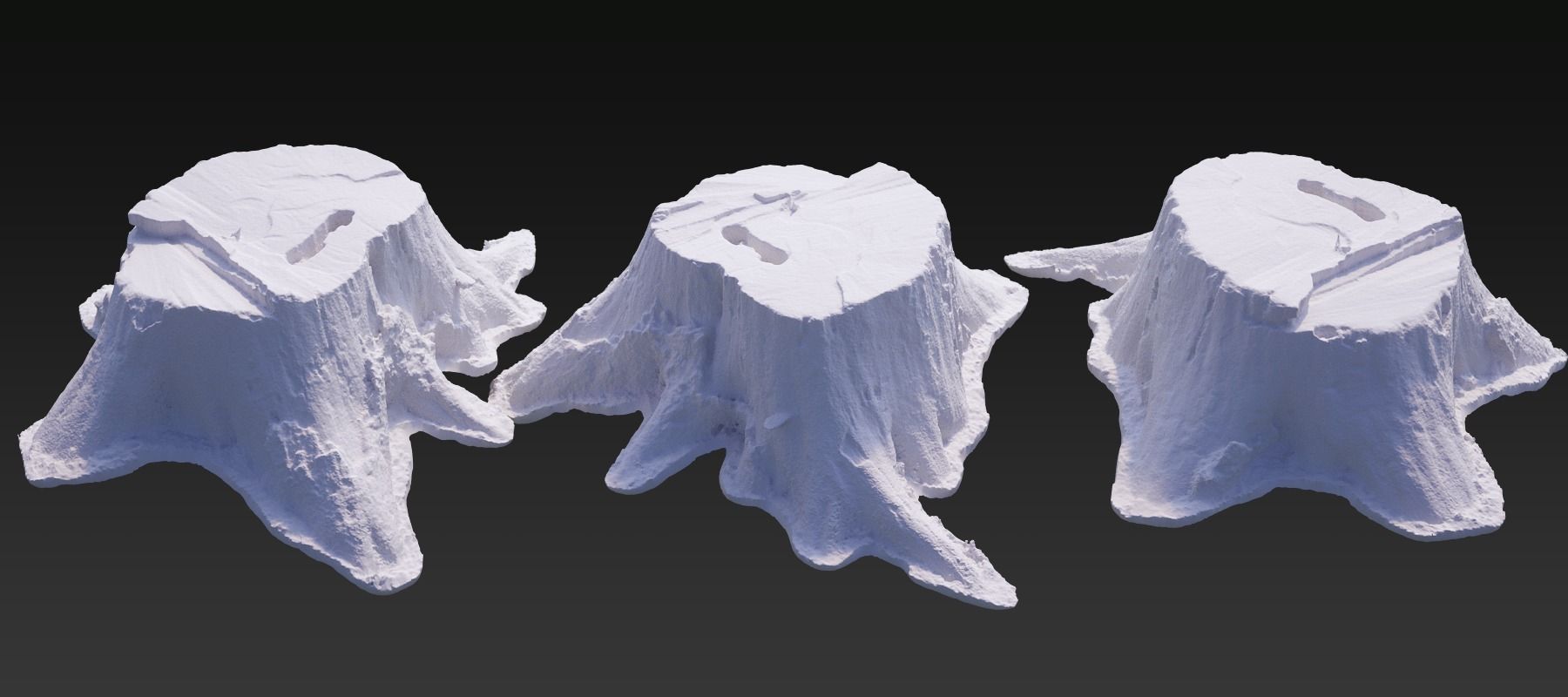 Five scanned old tree stump 3D models - Collection for CG  3D model_18