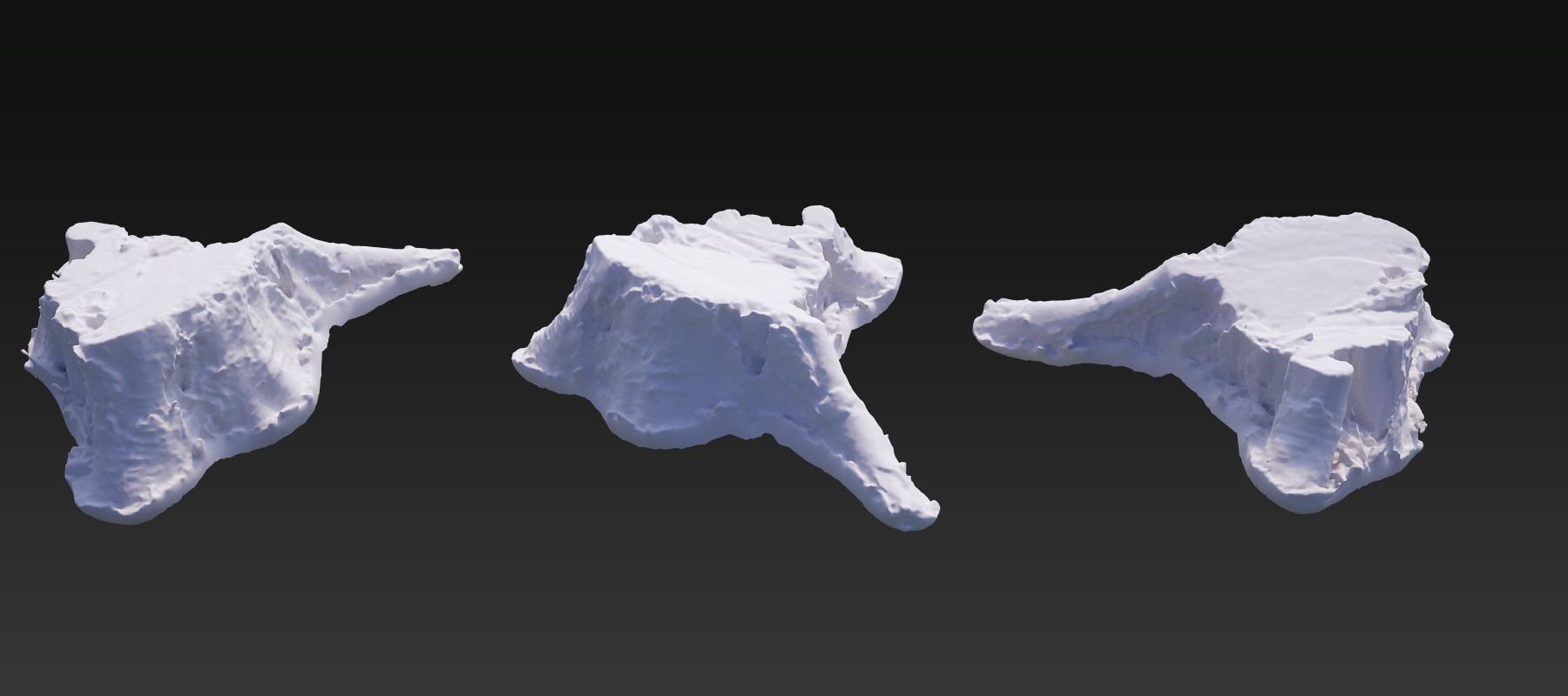 Five scanned old tree stump 3D models - Collection for CG  3D model_14