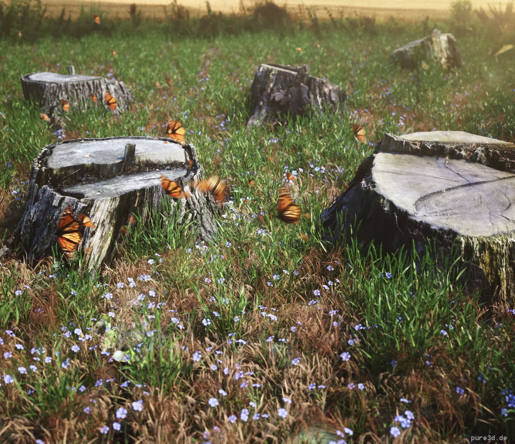 Five scanned old tree stump 3D models - Collection for CG  3D model_0