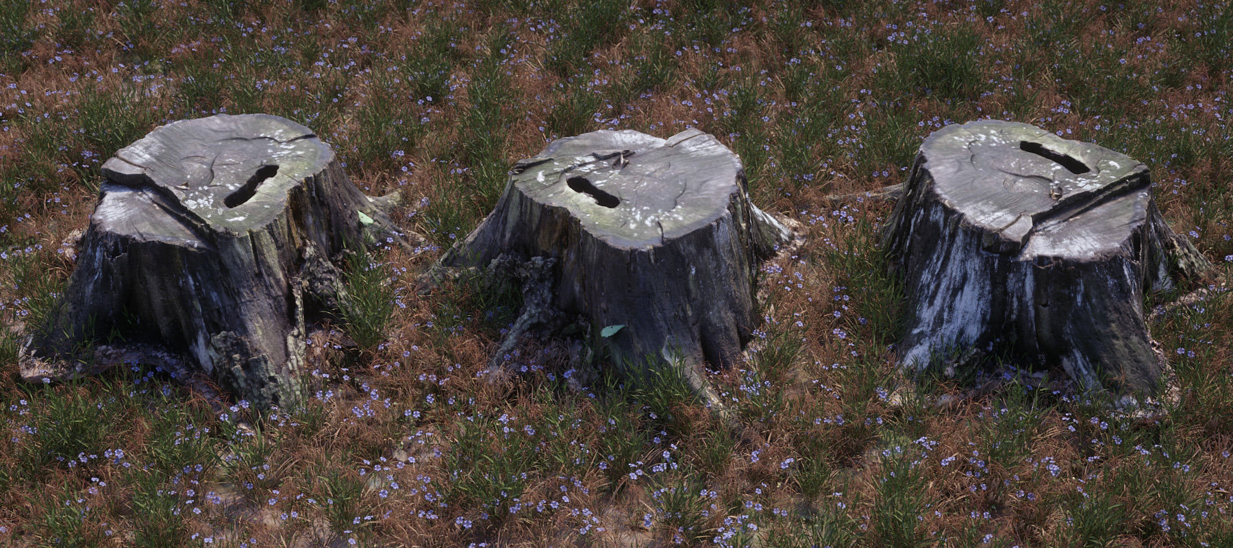 Five scanned old tree stump 3D models - Collection for CG  3D model_17