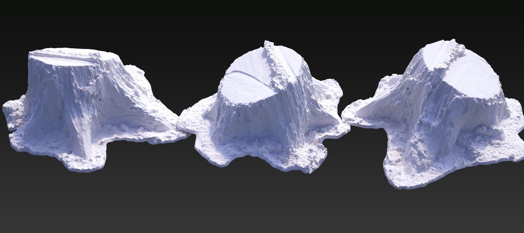 Five scanned old tree stump 3D models - Collection for CG  3D model_5