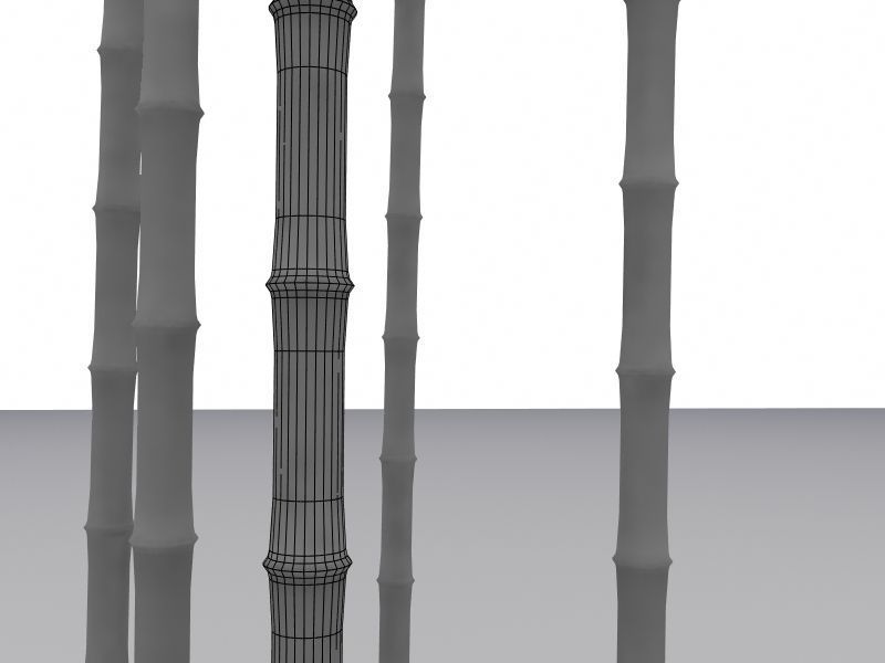 Bamboo trunk Low-poly 3D model_1