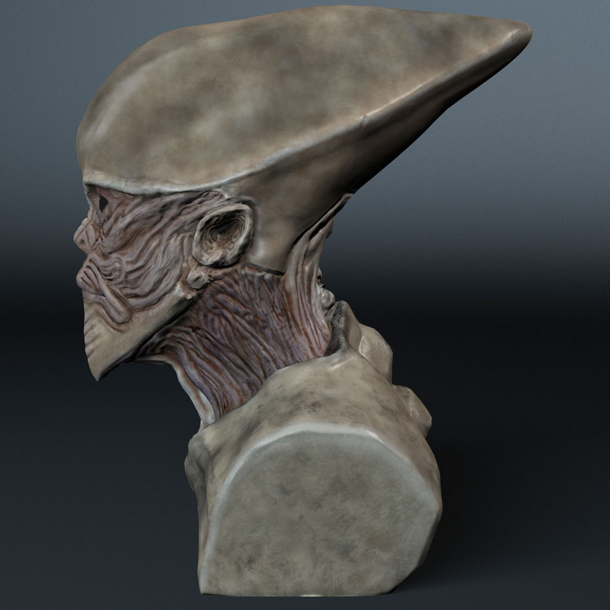 Alien Bust 3D model_7