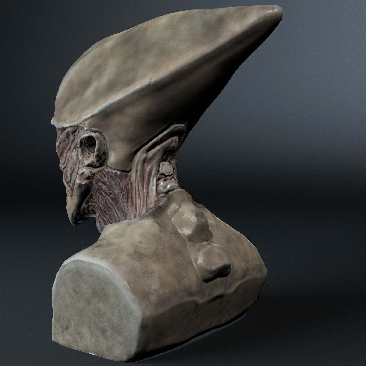 Alien Bust 3D model_6