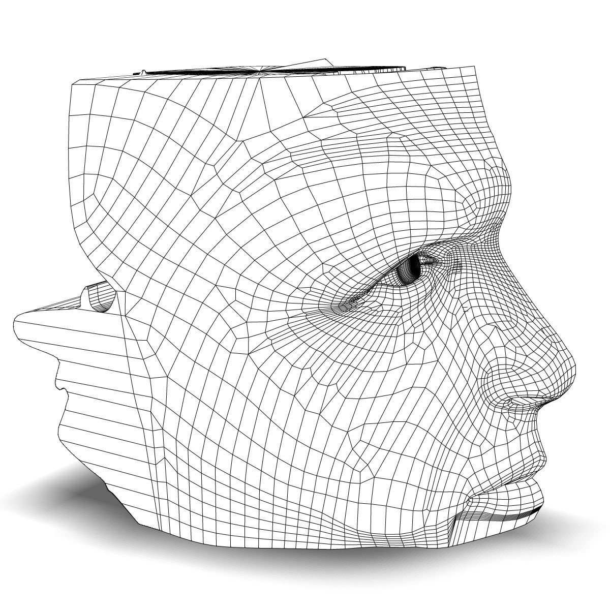 Human Nose Anatomy 3D model_5