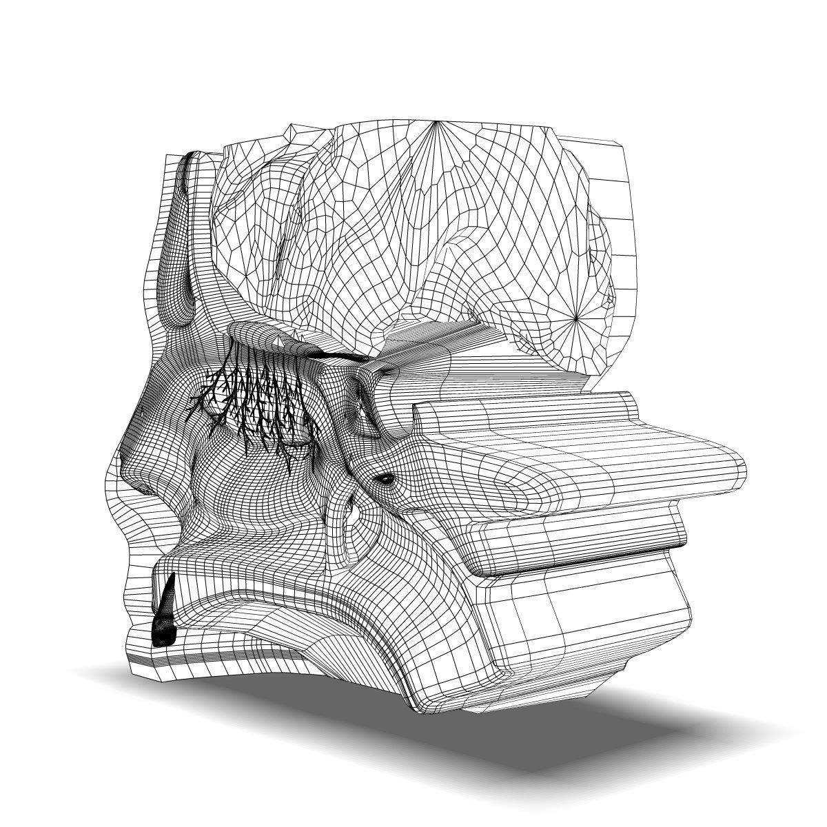 Human Nose Anatomy 3D model_4