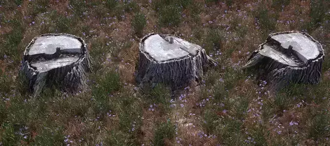 3D scanned old tree stump model for CG - Stump1