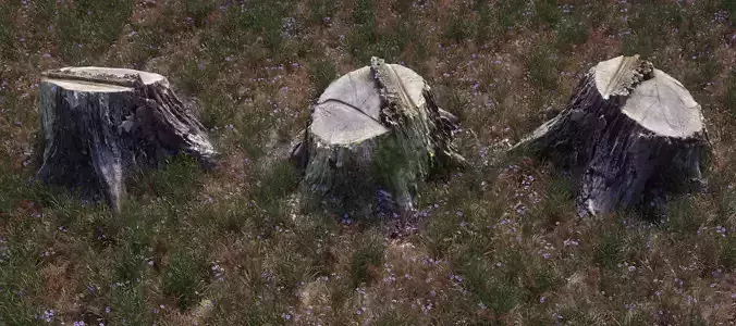 3D scanned old tree stump model for CG - Stump2 3D model