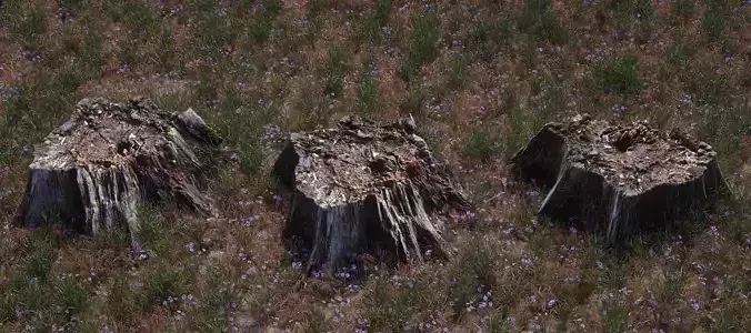 3D scanned old tree stump model for CG - Stump3