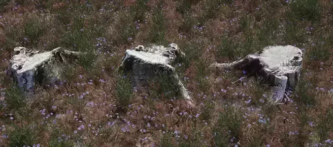 3D scanned old tree stump model for CG - Stump4