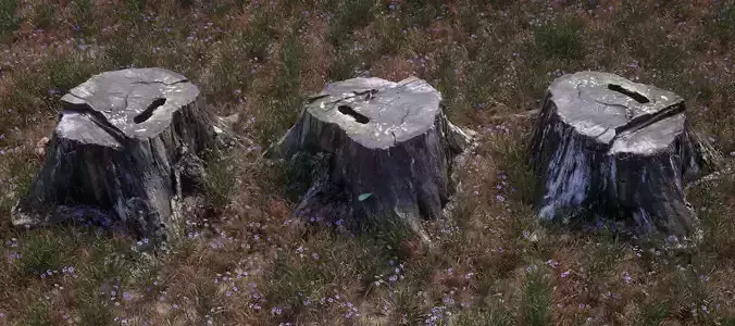 3D scanned old tree stump model for CG - Stump5