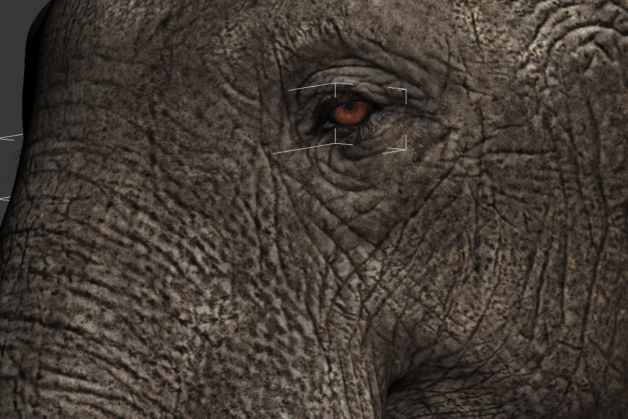 Elephant with tusks 3D model_10