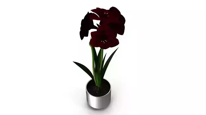 Red Flower in Metal Pot
