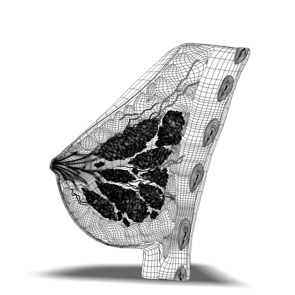 Human Female Breast Anatomy 3D model_5