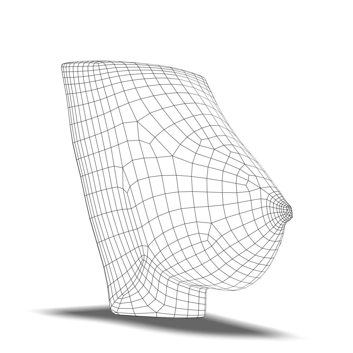 Human Female Breast Anatomy 3D Model .max .obj .3ds .c4d