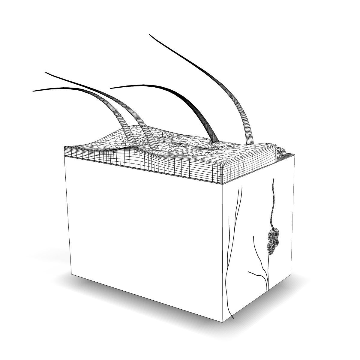 Human Skin Anatomy 3D model_4