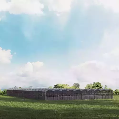 greenhouse 30 am 146